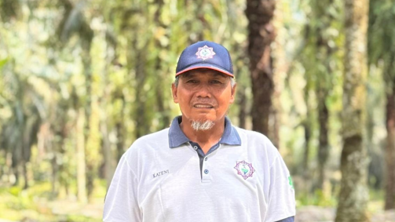 Kateni Ubah Nasib Pekebun Swadaya Rokan Hilir, Produksi Sawit Naik Dua Kali Lipat
