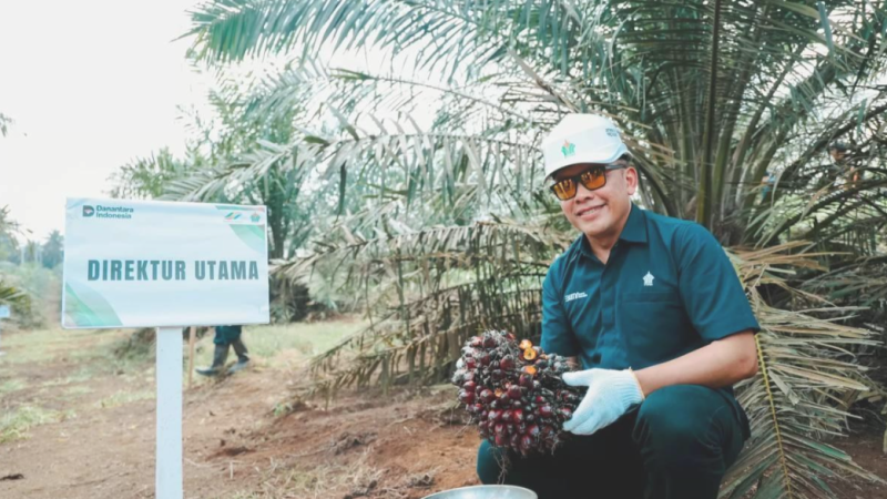 Strategi PalmCo Percepat Peremajaan Sawit Rakyat, Produktivitas Petani Naik