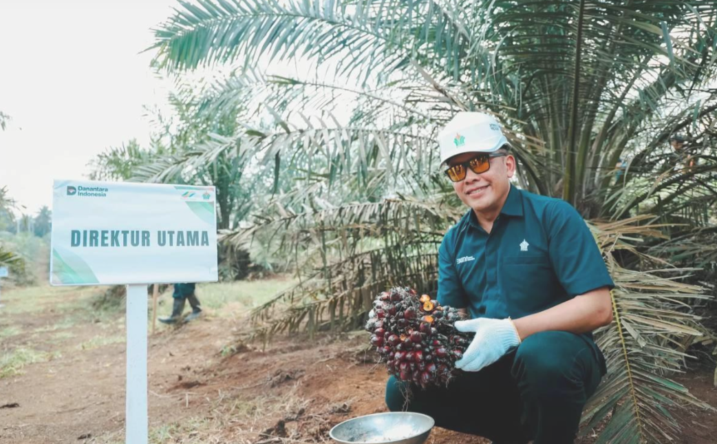 Strategi Jemput Bola PalmCo Percepat Peremajaan Sawit Rakyat